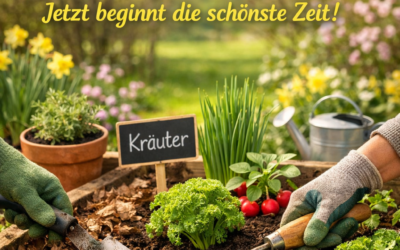 Frühling im Garten – Jetzt beginnt  für mich eine schöne Zeit!